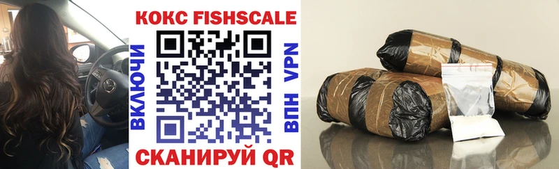 Купить закладки  Ангарск  Cocaine Fish Scale 