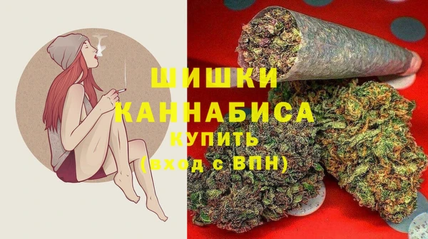 соль ск Алзамай