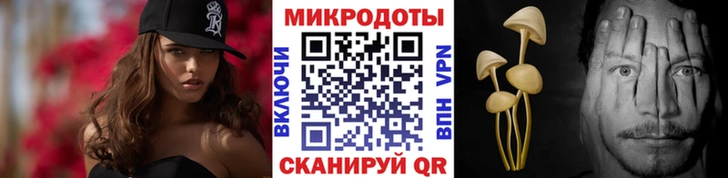 Галлюциногенные грибы Psilocybine cubensis  Купить где  Ангарск 